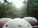 2005-09-03_18.02.00_F1000003.jpg